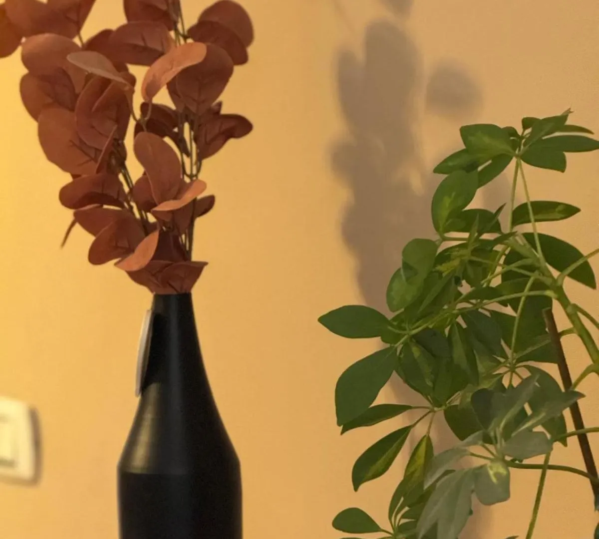 Verdi Apartments Catania